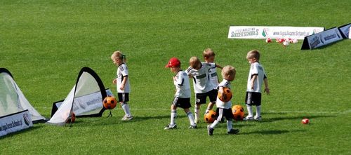 bramka przenośna pop-up 1,2m x 0,8 m (2 sztuki + torba) 120x80cm r. na Arena.pl