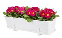 Skrzynka balkonowa doniczka prostokątna z podstawką uchwytami 60 cm biała