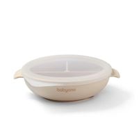 BABYONO SILIKONOWY TALERZYK TRÓJDZIELNY Z PRZYSSAWKĄ I POKRYWKĄ
