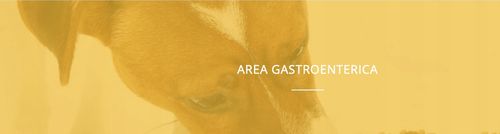 Microbiotal Cane 30 tab NBF Lanes dla psa mikroflora jelitowa na Arena.pl