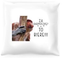 Poduszka z nosaczem -  Za darmoszkę to biere