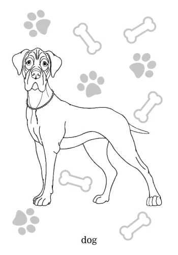 Maluszkowe Malowanie. Psy Rasowe na Arena.pl