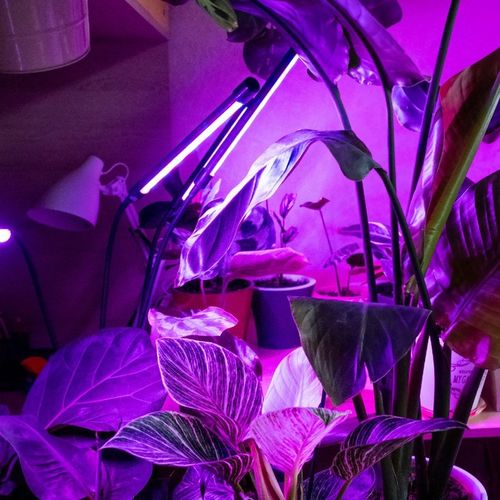 LAMPA DO WZROSTU UPRAWY ROŚLIN LED GROW LIGHT TIMER 9 POZIOMÓW ŚWIECENIA na Arena.pl