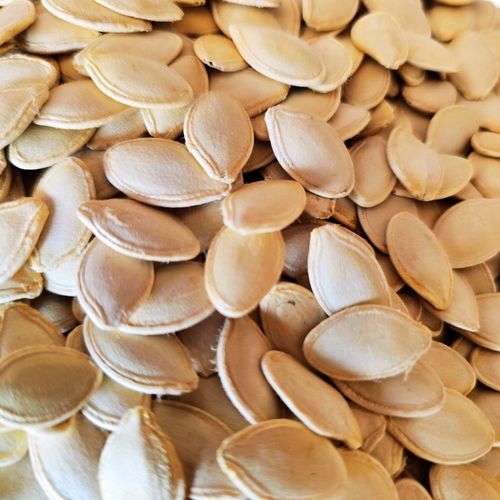 PESTKI DYNI W ŁUPINIE ŚWIEŻO PRAŻONE SOLONE 500g bezrantowe na Arena.pl