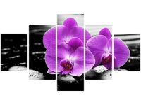 75CM 120 OBRAZ 5 ELEM OSTOJA PIĘKNA ŚCIENNY DRUK