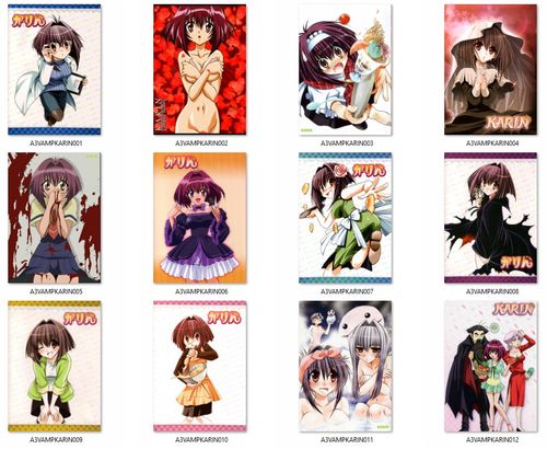 Plakat Karin DO WYBORU na Arena.pl