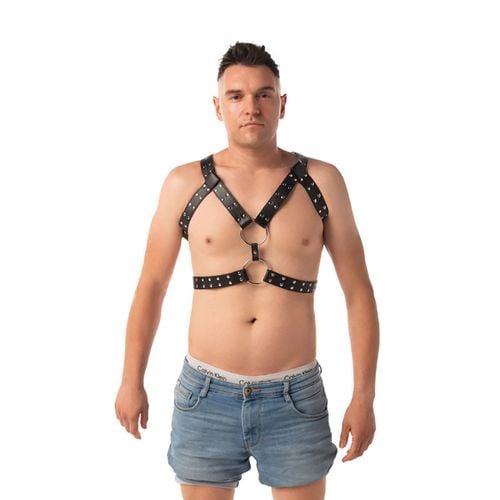 chest harness na Arena.pl