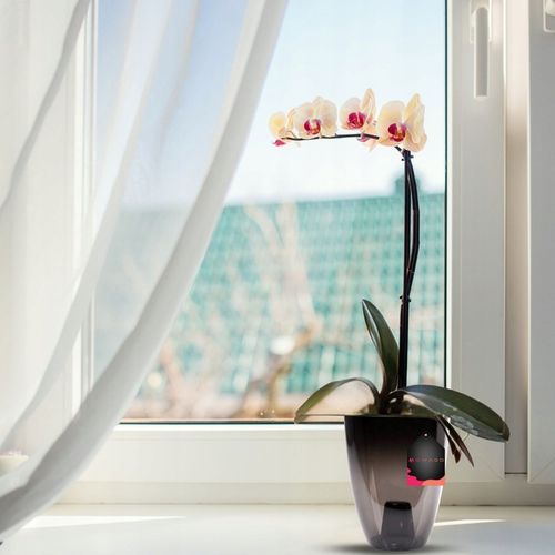 3 x OSŁONKA OSŁONA DONICZKA NA STORCZYK 12CM GRAFIT na Arena.pl