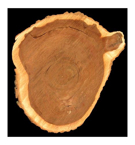 Yodeyma Transparencia Woda Perfumowana Dla Kobiet 100ml na Arena.pl