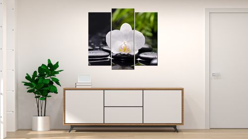 Obraz Tryptyk 90X80 Biała Orchidea na Arena.pl