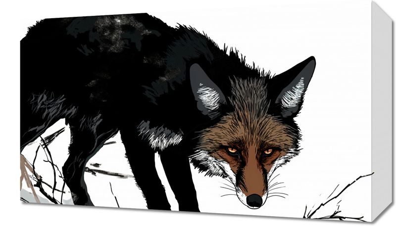 Obraz 50x30cm Nieufny Lis zdjęcie 1