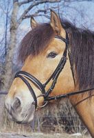 product-compare-58269855