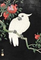 Plakat 67,5x100cm Cockatoo and Pomegranate, Koson Japoński Vintage do Salon