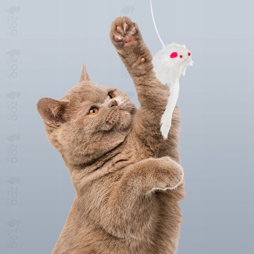 Drapak dla kota słupek 91cm drzewko 5 poziomów budka walec platforma na Arena.pl