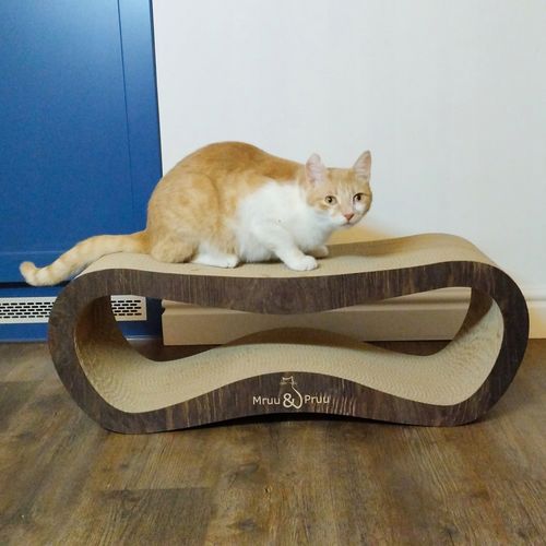 Drapak dla kota LEON | brązowy | 78x28x24 cm | MruuPruu na Arena.pl