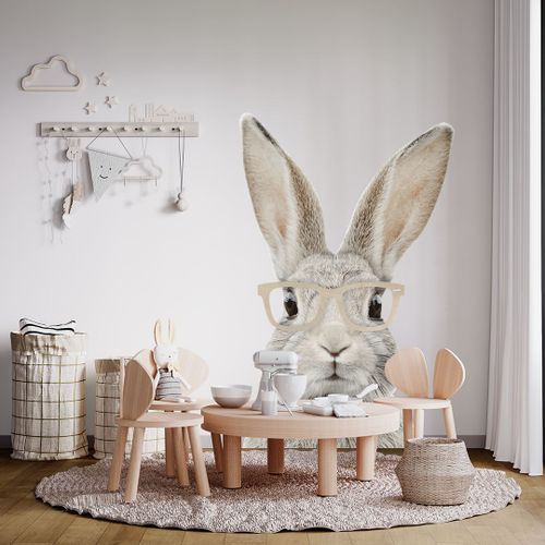 Naklejka Królik Stefan DK224 Okulary Różowe M na Arena.pl