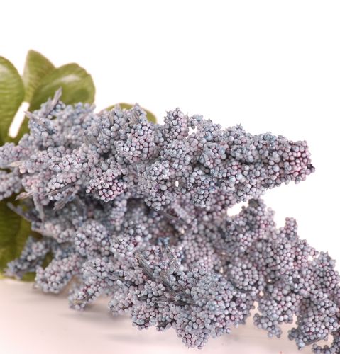 Amarantus x3 niebieski na Arena.pl