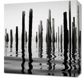 Obraz 50x50cm Refleksje Nad Wodą