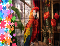 Puzzle tradycyjne Zwierzęta - Papuga