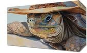 Obraz 30x20cm Żółwi Kapelusznik