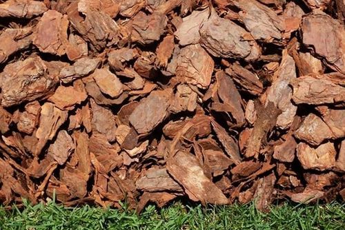 KORA SOSNOWA Ogrodowa Gruba Torf Humus 80L na Arena.pl