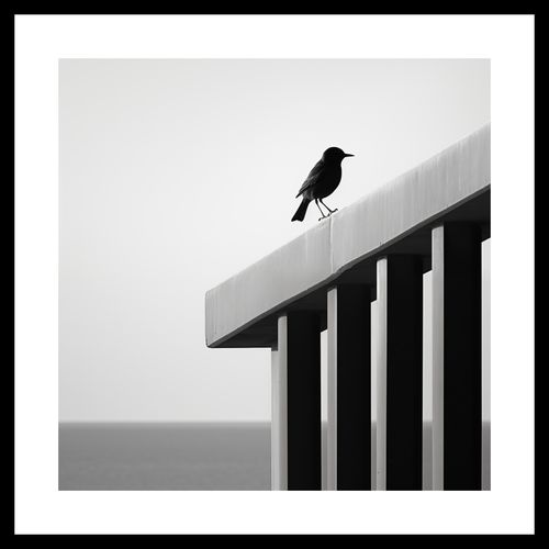 Plakat 30x30cm Samotna Odchłań na Arena.pl