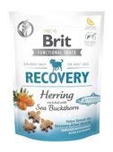 Brit Care Dog Functional Snack Recovery Herring 150g