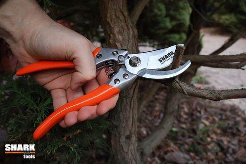 SEKATOR DO GAŁĘZI RĘCZNY NOŻYCOWY Shark G1 ogrodowy do cięcia 22 cm na Arena.pl