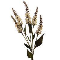 product-compare-61190867