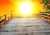 product-compare-62137780