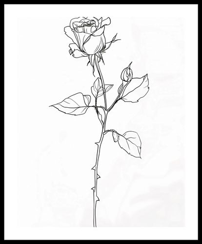 Plakat 40x50cm Kontur Róży na Arena.pl