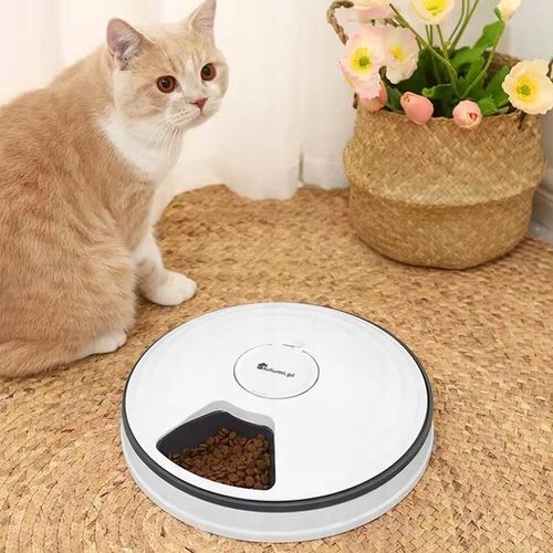 Automatyczny podajnik P70394 do karmy dozownik dla psa kota na Arena.pl
