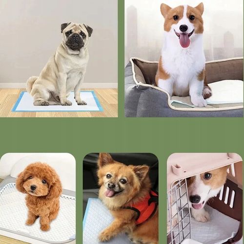 50x PODKŁADY MATY HIGIENICZNE dla psa do nauki sikania XL CHŁONNE 90x60CM na Arena.pl