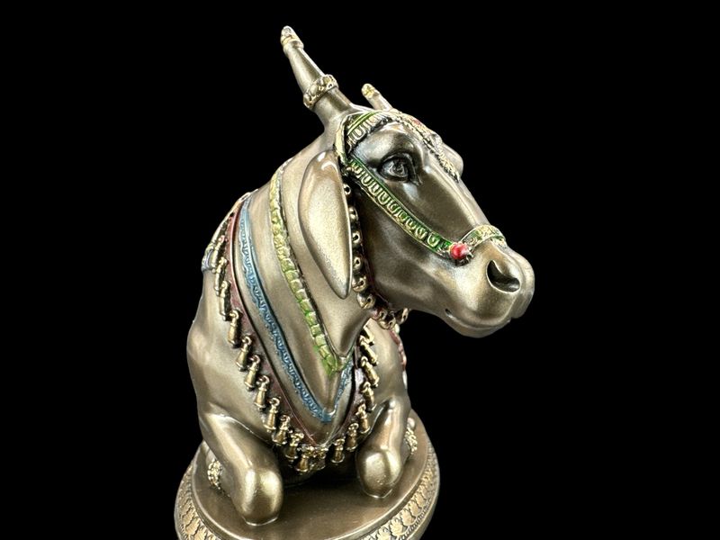 NANDIN – BYK SHIVY VERONESE WU76782A4 zdjęcie 4