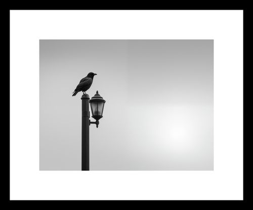 Plakat 20x15cm Samotny Postój Kruka na Arena.pl