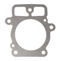 Uszczelka głowicy B&S V-TWIN 0160