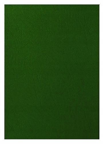 Karton Delta Skóropodobny A4 Zielony (100) 2223 na Arena.pl