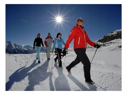 KIJKI NORDIC WALKING TREKKINGOWE KIJE DO CHODZENIA na Arena.pl
