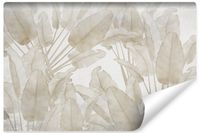 product-compare-54664344