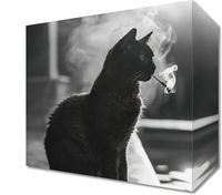 product-compare-59491570