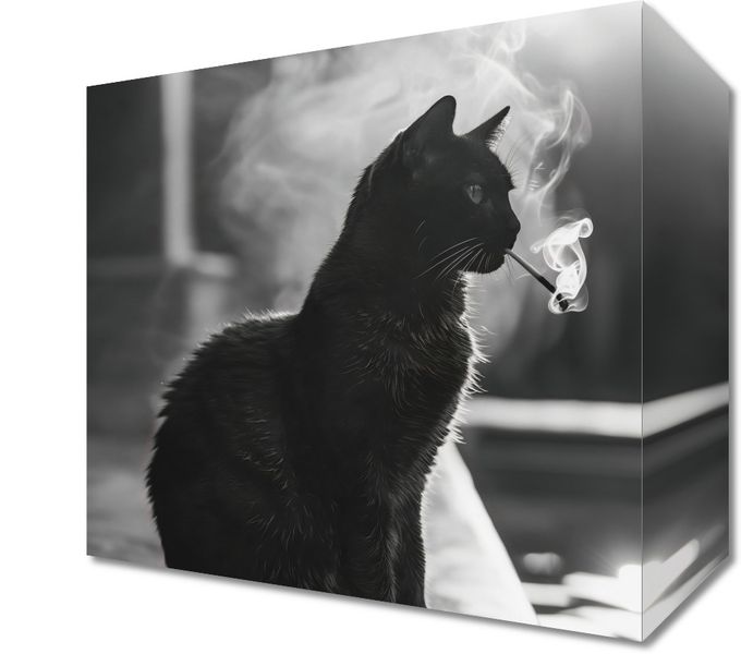 Obraz 20x20cm Kocia Przerwa zdjęcie 1