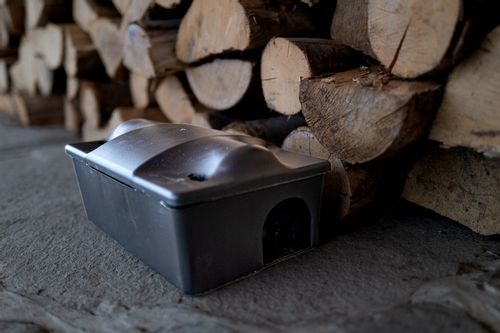 ZESTAW STACJA DERATYZACYJNA NA TRUTKĘ NA MYSZY x5 na Arena.pl