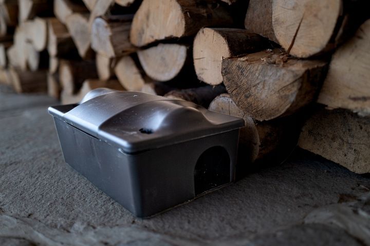 ZESTAW STACJA DERATYZACYJNA NA TRUTKĘ NA MYSZY x5 zdjęcie 6