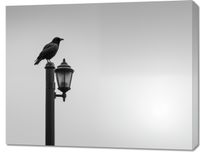 Obraz 90x70cm Samotny Postój Kruka