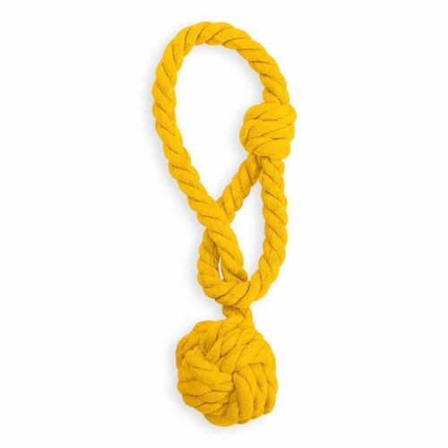 CURTBIN/AH/DAUPHIN/HONEY/2PCS na Arena.pl