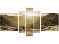 product-compare-58698582