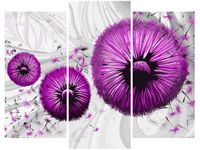 product-compare-58673123