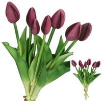 product-compare-61700087