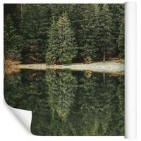 Fototapeta Las Jezioro Rośliny NATURA do Salonu 368cm x 254cm