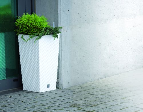 Donica Rattan DRTS325 z wkładem + platforma jezdna na Arena.pl